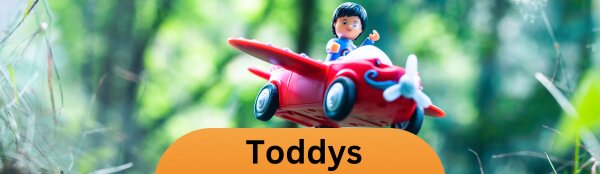 Toddys