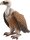 schleich® WildLife 14847 Geier