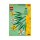 LEGO® Creator 40747 Narzissen