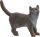schleich® FarmWorld 13973 Britische Kurzhaar Katze