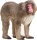schleich® WildLife 14871 Japanmakak