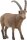 schleich® WildLife 14873 Steinbock