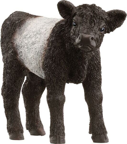 schleich® FarmWorld 13969 Galloway Kalb