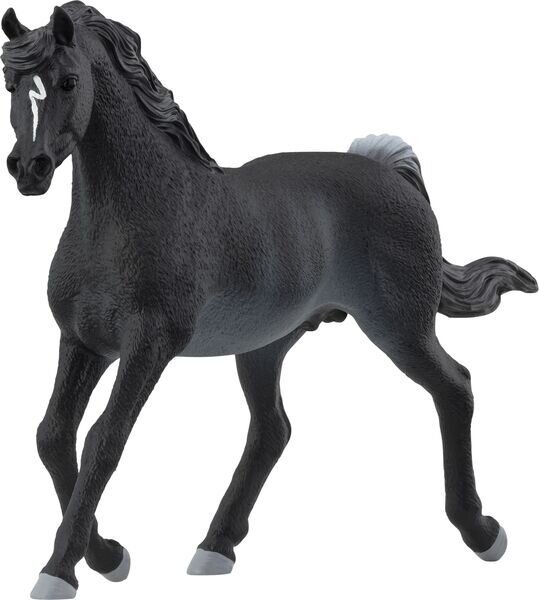 schleich® HorseClub 13981 Araber Hengst