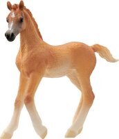 schleich® HorseClub 13984 Araber Fohlen
