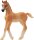schleich® HorseClub 13984 Araber Fohlen