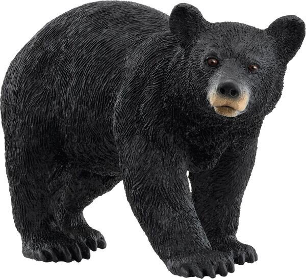 schleich® WildLife 14869 Amerikanischer Schwarzbär
