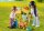 Playmobil® Country 71309 Katzenfamilie