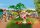 Playmobil® Family & Fun 71426 Mountainbike-Tour