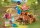 Playmobil® My Life 71512 Pflege der Igelfamilie