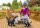 Playmobil® Special Plus 71172 Oma mit Katzen