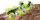 Revell Control 23509 RC Stunt Car 1080 Stunt Monster Mini