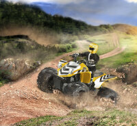 Revell Control 24641 RC Quad Dust Racer