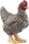 schleich® FarmWorld 13997 Plymouth Rock Huhn