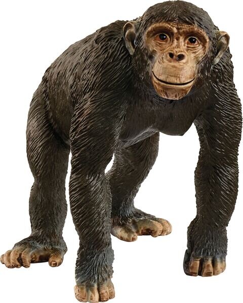 schleich® WildLife 14883 Schimpanse