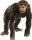 schleich® WildLife 14883 Schimpanse