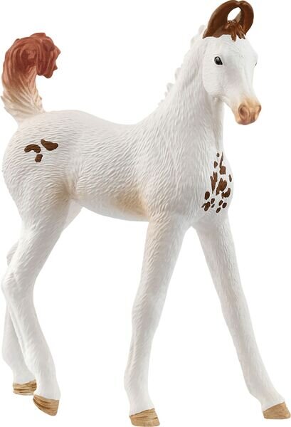 schleich® HorseClub 14896 Marwari Fohlen