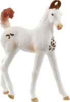 schleich® HorseClub 14896 Marwari Fohlen
