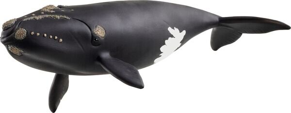 schleich® WildLife 14878 Nordatlantischer Glattwal