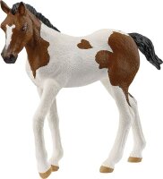 schleich® HorseClub 14899 Paint Horse Fohlen