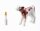Playmobil® Duopack 71803 Bäuerin mit Kind und Kalb