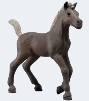 schleich® Horse Sammelfohlen 81460 Darcy