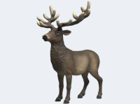 schleich® WildLife 14992 Amerikanischer Rothirsch