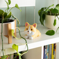 Legami SQIF0006 Stress Less-Antistress-Spielzeug-Corgi