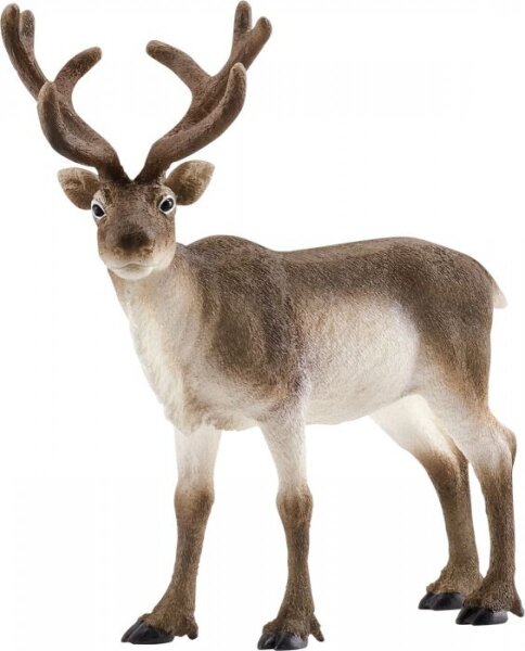 schleich® WildLife 14837 Rentier