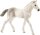 schleich® HorseClub 13860 Holsteiner Fohlen
