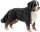 schleich® FarmWorld 16397 Berner Sennenhündin
