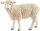 schleich® FarmWorld 13882 Schaf