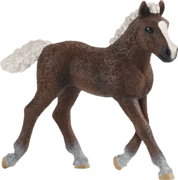 schleich® FarmWorld 13899 Schwarzwälder Fohlen