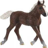 schleich® FarmWorld 13899 Schwarzwälder Fohlen