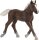 schleich® FarmWorld 13899 Schwarzwälder Fohlen