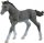 schleich® HorseClub 13944 Trakehner Fohlen