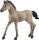 schleich® HorseClub 13949 Criollo Definitivo Fohlen