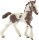 schleich® FarmWorld 13774 Tinker Fohlen