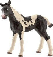 schleich® FarmWorld 13803 Pinto Fohlen