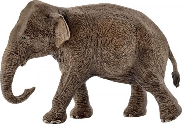 schleich® WildLife 14753 Asiatische Elefantenkuh