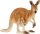 schleich® WildLife 14756 Känguru