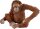schleich® WildLife 14775 Orang-Utan Weibchen