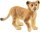 schleich® WildLife 14813 Löwenjunges