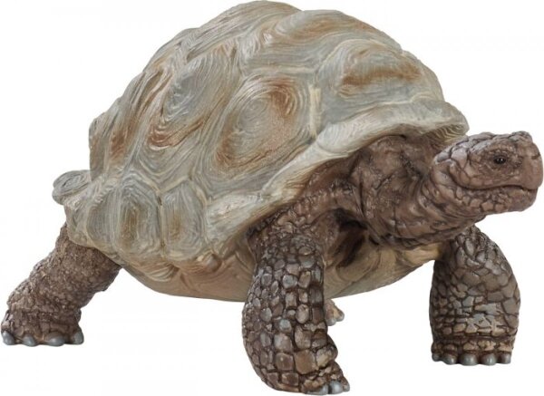 schleich® WildLife 14824 Riesenschildkröte