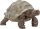schleich® WildLife 14824 Riesenschildkröte