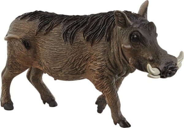 schleich® WildLife 14843 Warzenschwein